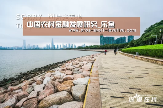 中国农村金融发展研究_乐鱼(图3) 中国农村金融发展研究_乐鱼(图3)