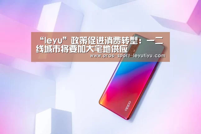 “leyu”政策促进消费转型:一二线城市将要加大宅地供应(图3) 乐鱼体育