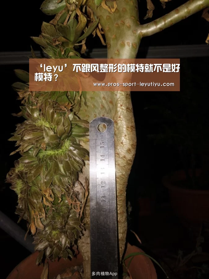 乐鱼