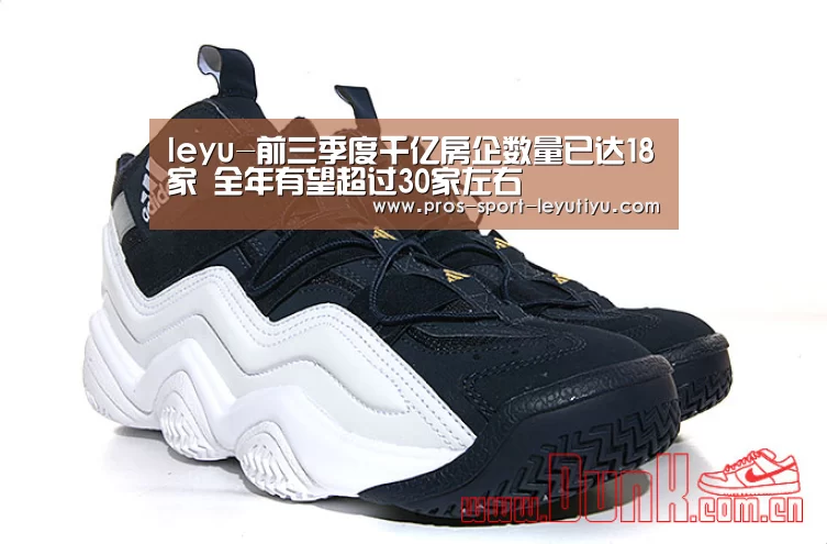 乐鱼体育