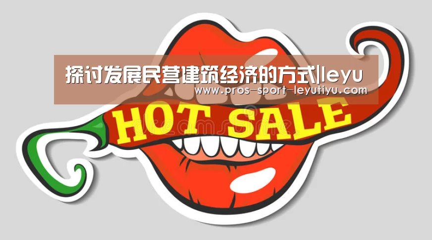 探讨发展民营建筑经济的方式|leyu(图1)