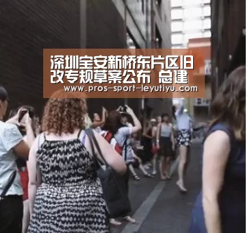 深圳宝安新桥东片区旧改专规草案公布 总建面达431万㎡-乐鱼体育(图1) 乐鱼