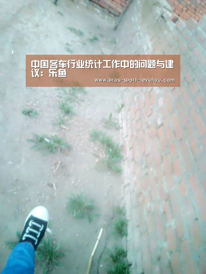 中国客车行业统计工作中的问题与建议:乐鱼(图1) 乐鱼